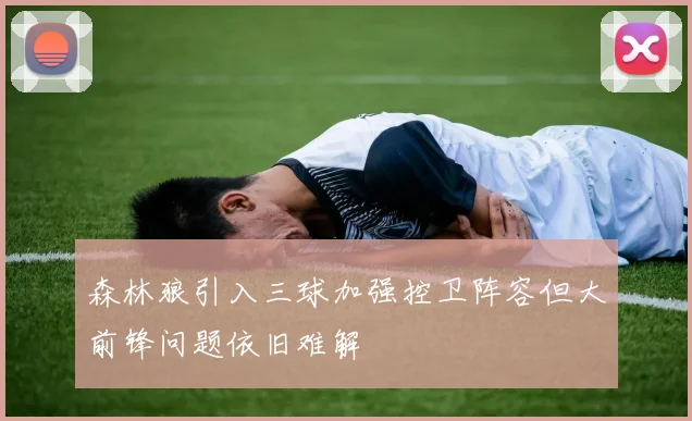 森林狼引入三球加强控卫阵容但大前锋问题依旧难解